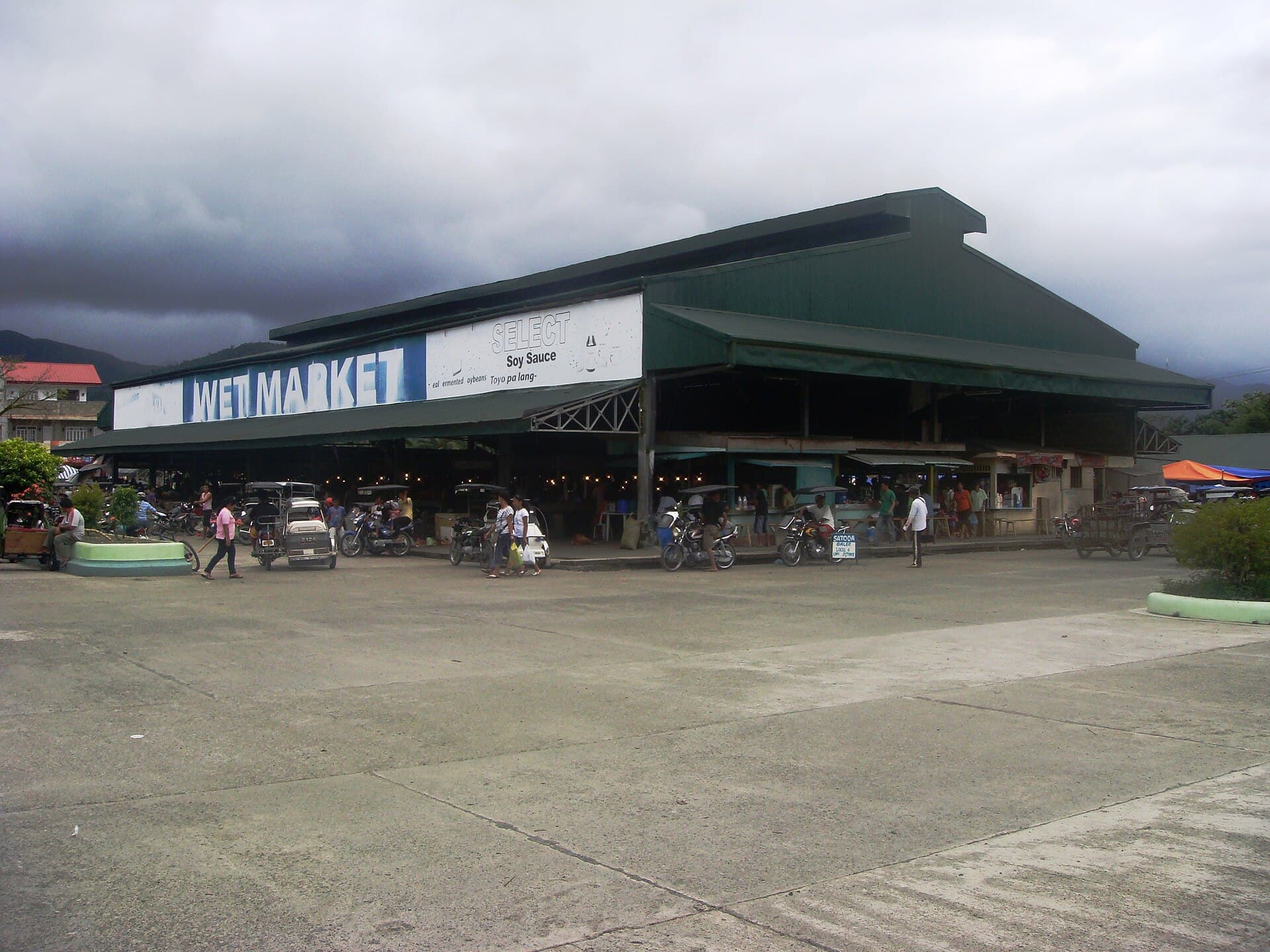 Pig Price Today Philippines: Presyo ng Baboy (May 2026)