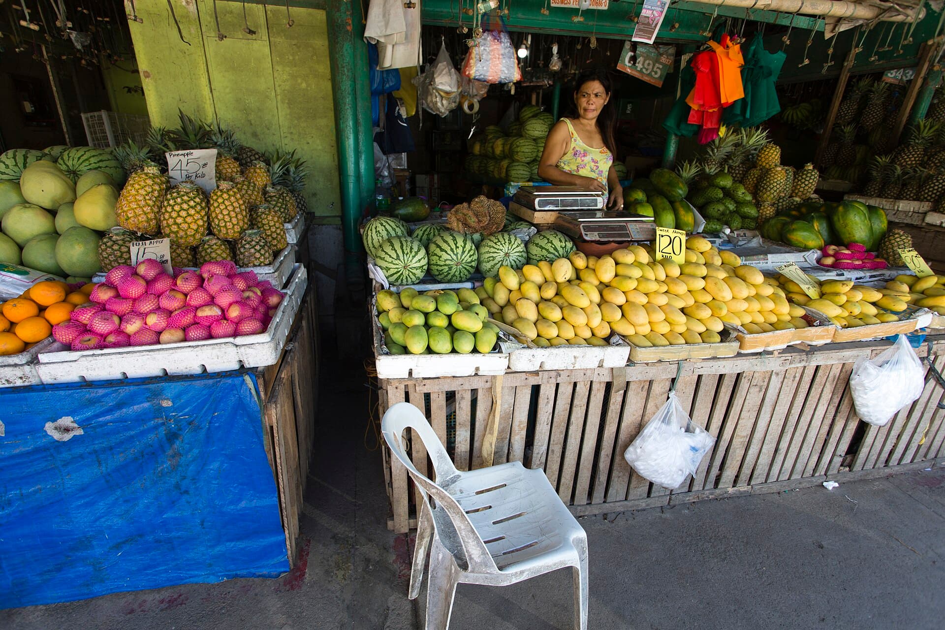When to Cull a Sow: Price + Replacement Math (Philippines, 2026)