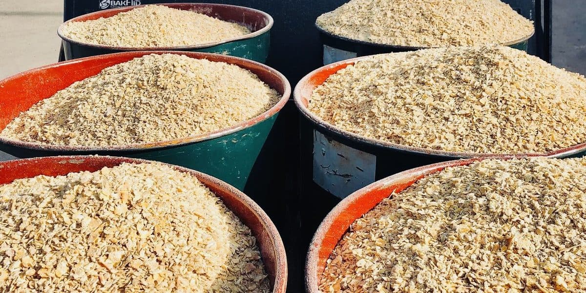 Cheapest Way to Feed Pigs in the Philippines