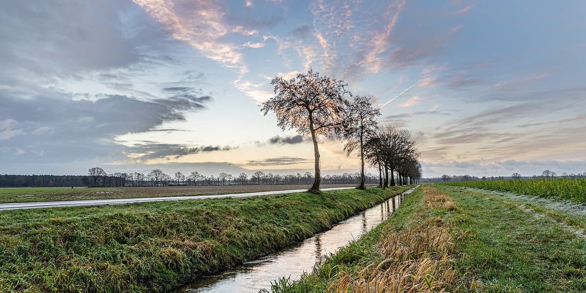 Should I Quit Pig Farming? The Survival Math