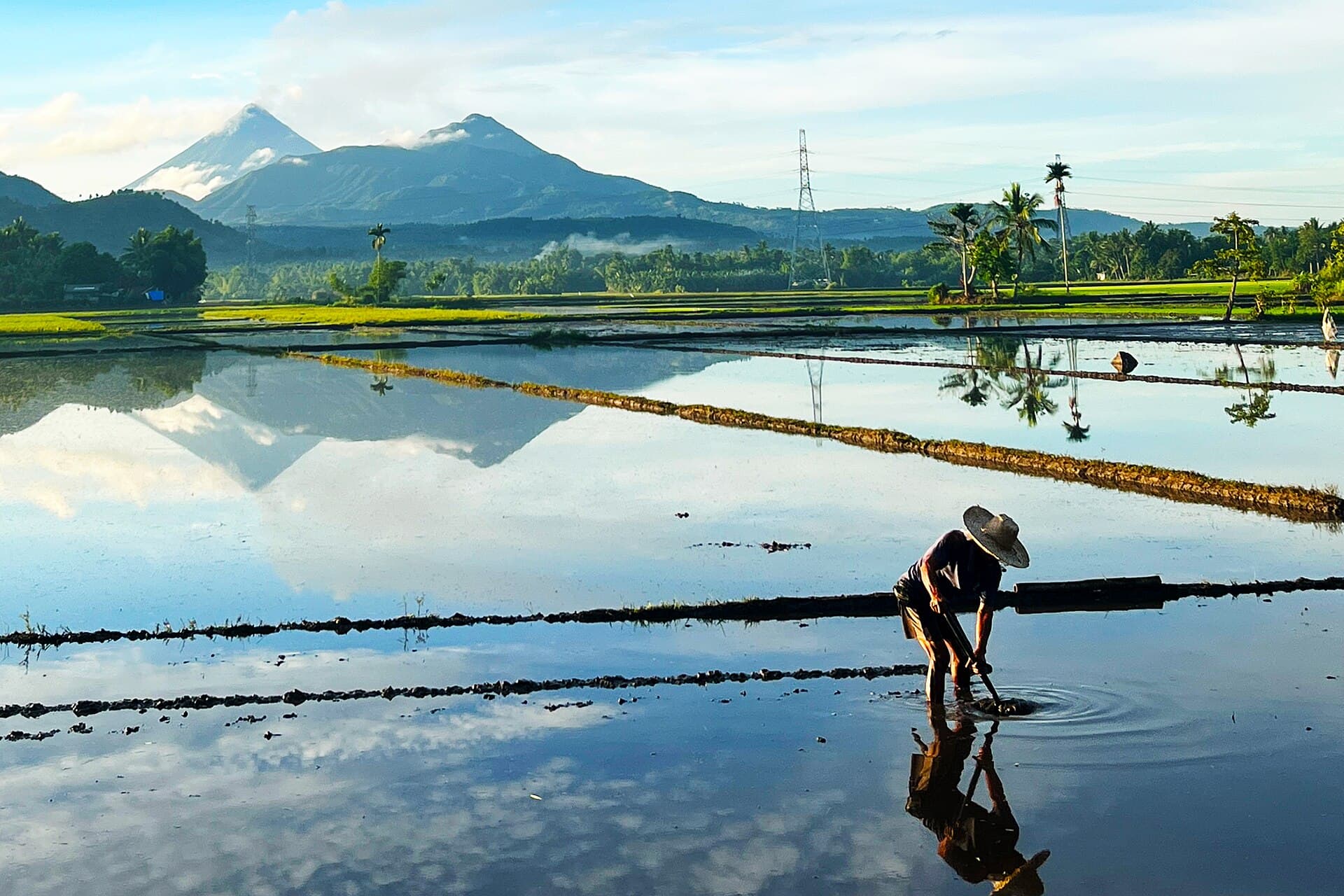 DSWD SLP Seed Capital for Piggery: Real Application + ROI Guide (2026)