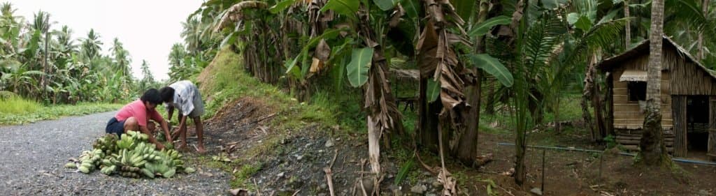 OWWA EDLP Loan for Piggery: OFW Guide to Pig Farming Capital (2026)
