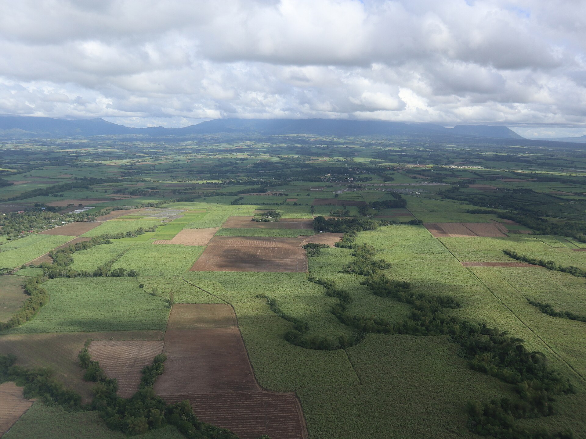 Contract Growing vs Own Farm for an Absentee OFW Owner (2026)